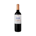Vino Juan Benegas Malbec Botella 750 cc