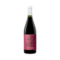 Vino Budeguer 4000 Reserva Pinot Noir Botella 750 cc