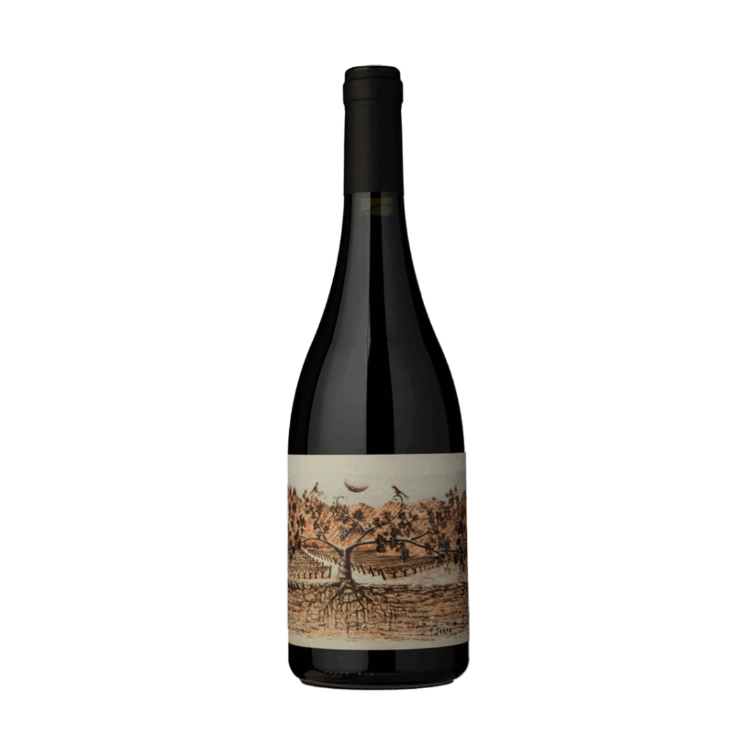 Vino Huichaira Almacen de la Quebrada Pucara Malbec
