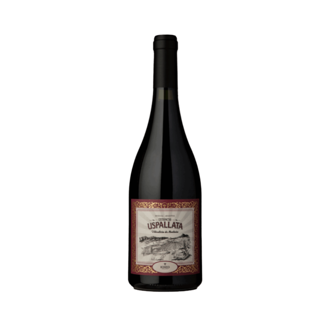 Vino Estancia Uspallata IGNEO Blend Botella 750 cc