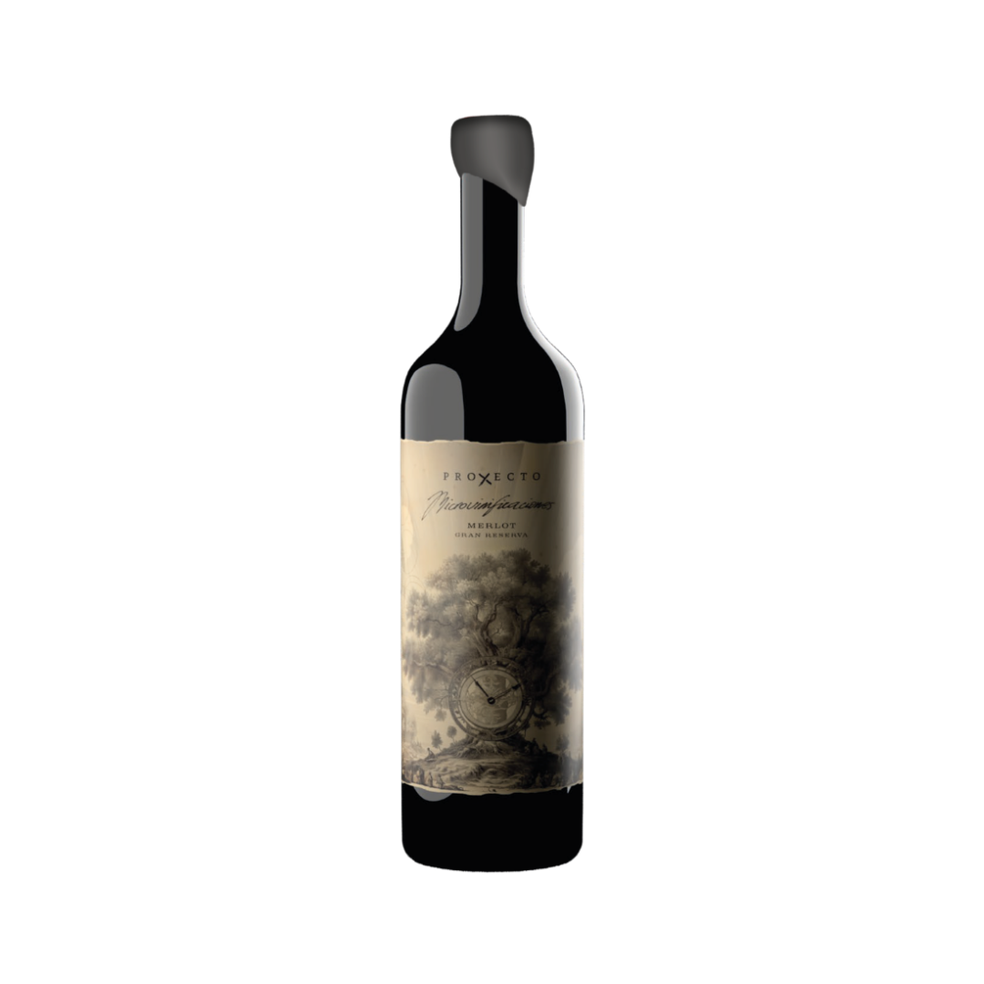 Vino Proyecto X Microvinificacion Merlot Botella 750 cc