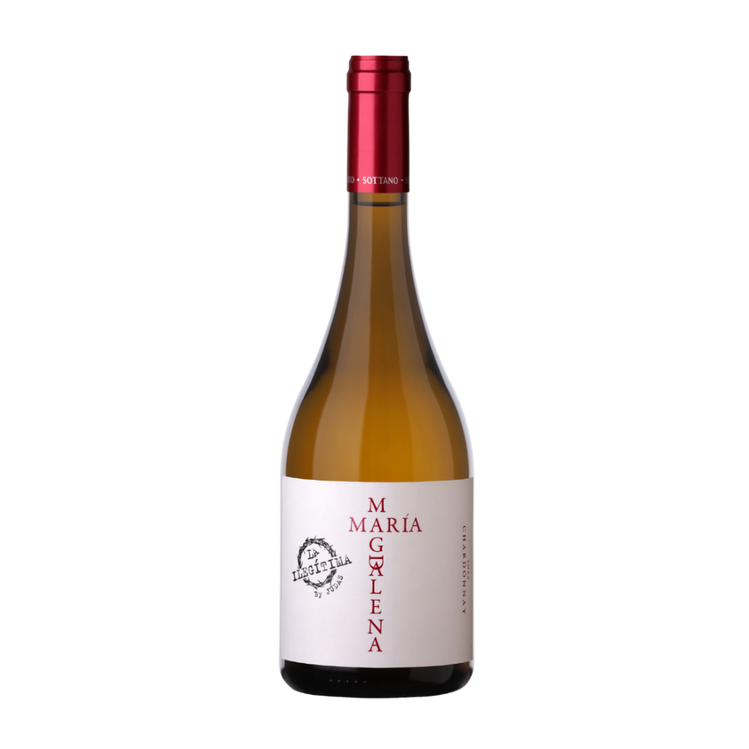 Vino Bodega Sottano Maria Magdalena Chardonnay Botella 750 cc